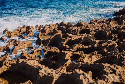 Scenic view of beach