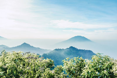 View of pulosari mountain and karang mountain from aseupan mountain