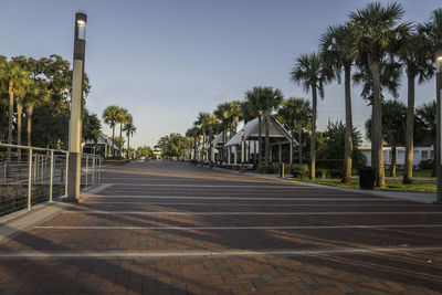 Footpath amidst palm trees against clear sky