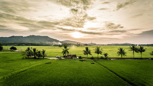 Scenic view of field against sky during sunset