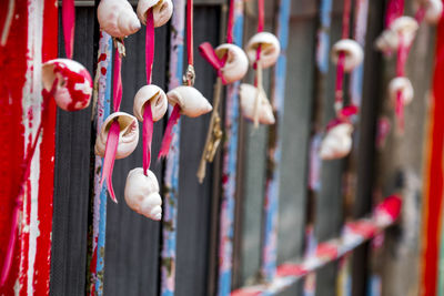 Close-up of clothes hanging on metal fence