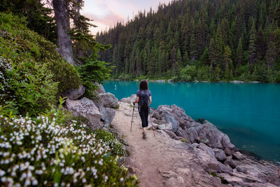 Woman standing on rocks by plants