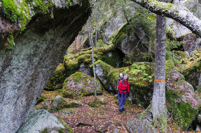 Rear view of man standing on rock in forest