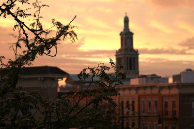 Close-up of plant against st matthias roman catholic church during sunset