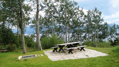 Chairs and table in park