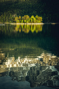 Scenic view of lake in city