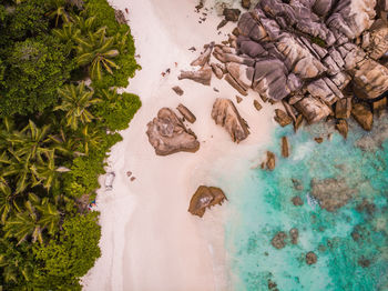 Aerial view of beach