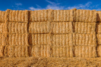 Hay bales on field