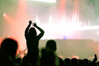 People enjoying music concert at night