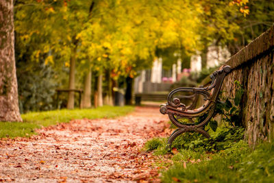View of park bench