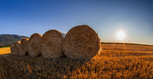 Hay bales on landscape against clear blue sky