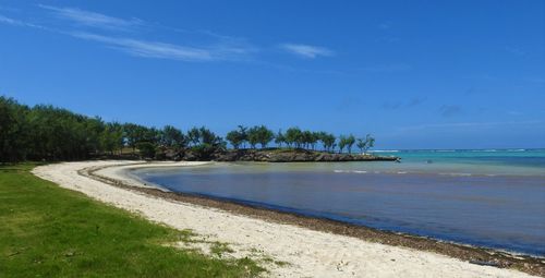 Scenic view of beach against blue sky
