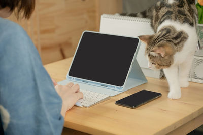 Asian woman play with her cat and use tablet meeting and working from home