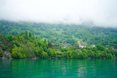 Beautiful lake brienz, switzerland with fog