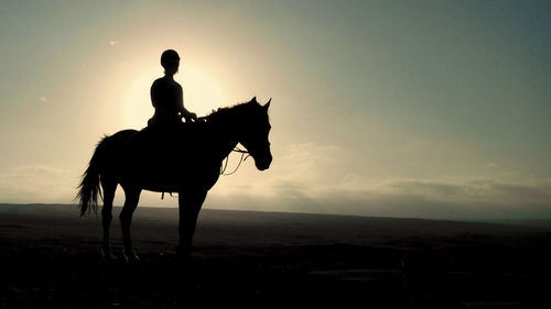 Silhouette man riding horse on field against sky
