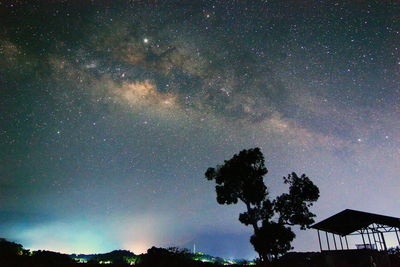 Low angle view of silhouette trees against sky at night