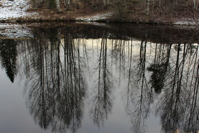 Reflection of trees in lake against sky