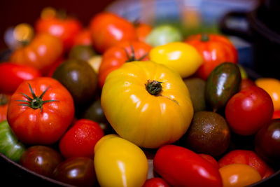 Close-up of various wet tomatoes in container