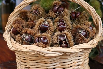 High angle view of crab in basket