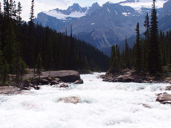 Scenic view of river amidst trees against mountains