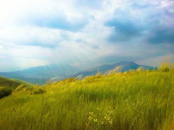 Scenic view of field against cloudy sky