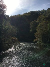 Scenic view of river amidst trees against sky