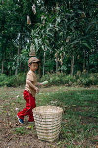 Boy by basket holding unripe mango at farm