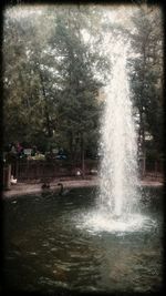 View of fountain in forest