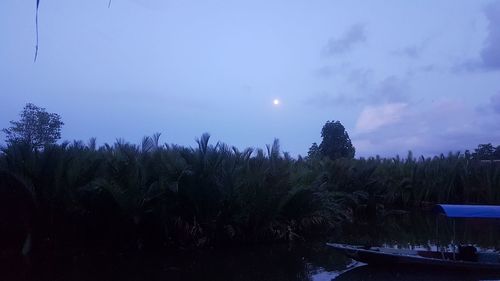 Scenic view of trees against sky at night