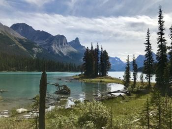 wilderness
