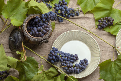 High angle view of grapes growing on table