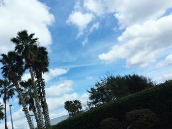 Low angle view of trees against cloudy sky