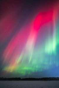 Low angle view of illuminated light trails at night