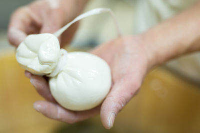 Cropped image of woman tying cheese