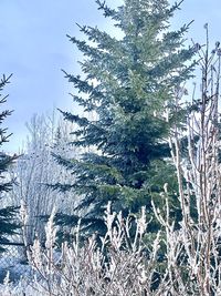 Scenic view of snow covered land against sky