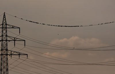 Low angle view of birds flying against sky