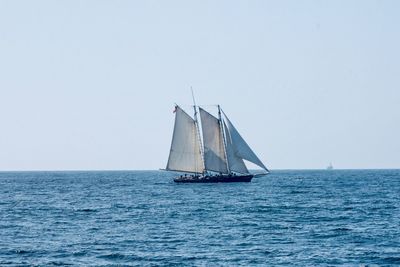 Sailboat sailing on sea against clear sky