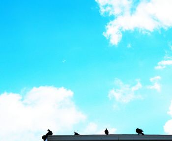 Low angle view of silhouette people by sea against blue sky