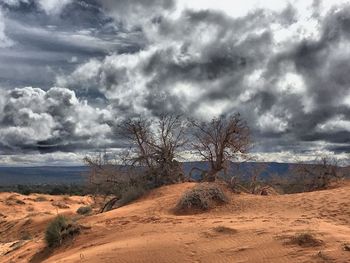 Scenic view of landscape against cloudy sky