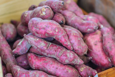 Close-up of pink for sale at market stall