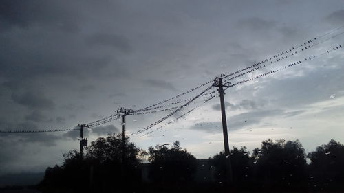 Low angle view of silhouette trees against sky during sunset