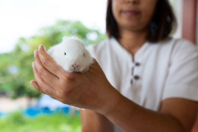 Asian woman holding white baby bunny on hand with tenderness. friendship with cute easter bunny.