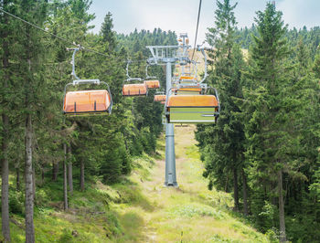 Overhead cable car amidst trees in forest
