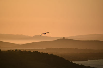 Silhouette birds flying over mountains against orange sky