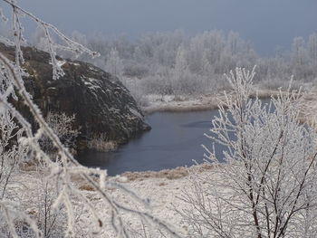 Bare trees on snow covered land against sky