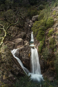 View of waterfall in forest