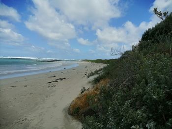 Scenic view of beach against sky