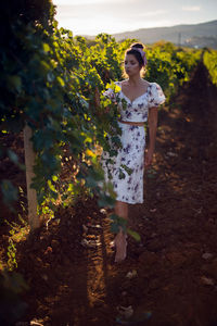 Brunette woman in a white dress stands in a vineyard in summer in italy