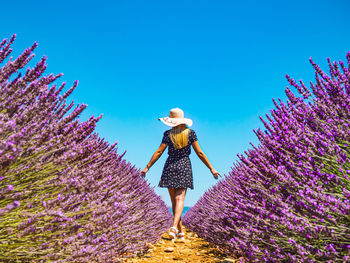 Close up of a young girl with a hat on her head between lavender in southern provence valensole 