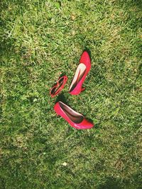 High angle view of grassy field